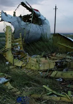 Malaysia quyết tâm điều tra vụ máy bay MH17 rơi tại Ukraine