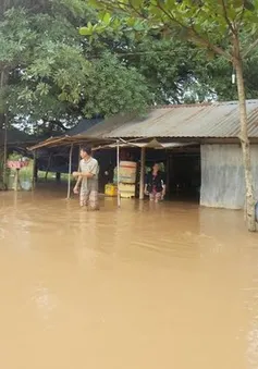 Tây Ninh: Lũ lụt gây ngập nhà dân