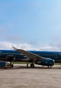 Hành khách bất tỉnh, máy bay Vietnam Airlines hạ cánh khẩn