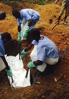Nigeria ban bố tình trạng khẩn cấp do dịch Ebola 