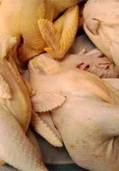 Bất thường tăng vọt gà đông lạnh lậu   