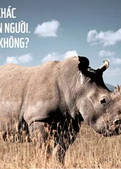 Khởi động chiến dịch “Nói không với sừng tê giác” 