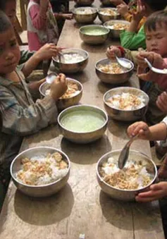Bắt đầu chi hỗ trợ ăn trưa cho trẻ mẫu giáo 