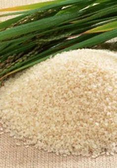 Tín hiệu vui từ gia tăng giá trị hạt gạo Việt Nam
