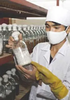Việt Nam - Hà Lan hợp tác phát triển kinh tế