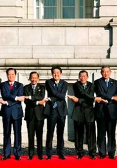 Thủ tướng dự Hội nghị Cấp cao ASEAN - Nhật Bản    