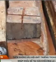 Phát hiện thêm sai phạm của công ty Bảo Ngọc Bình Phước về nhập khẩu gỗ