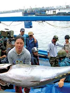 Mong ước từ chuyến biển đầu năm 