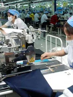 TP.HCM: Nhiều DN mong muốn lùi thời hạn cổ phần hóa