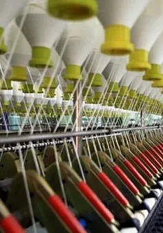 Khó khăn thị trường xuất nhập khẩu - DN nội phải tự cứu mình