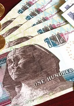 Nợ công Ai Cập chạm ngưỡng 100% GDP
