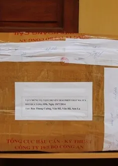 Truy bắt vụ vận chuyển 108 bánh heroin, một chiến sĩ công an hy sinh