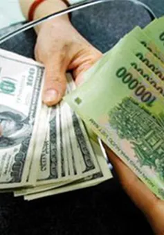 Nên gửi tiền VND hay USD?