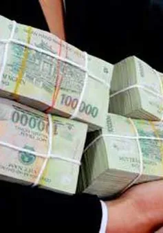 Nhà đầu tư ngoại và doanh nghiệp FDI được góp vốn bằng VND