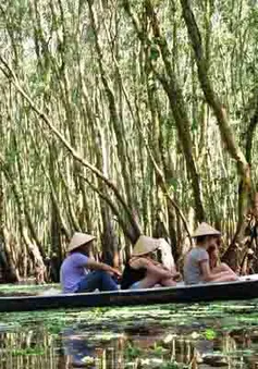 Một lần dạo trong thế giới nước Trà Sư
