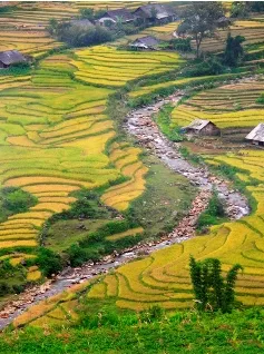 Kiêng kỵ khi vào bản ở Sapa 