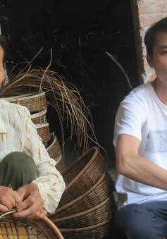 Làm phu hồ, nuôi con đỗ thủ khoa đại học