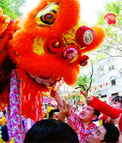 Tết Bắc trong lòng xuân Nam 