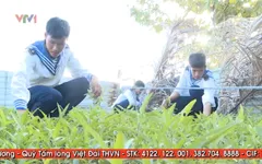 Những mảnh vườn rau xanh nơi đầu sóng ngọn gió Trường Sa