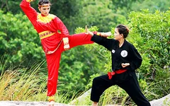 Võ cổ truyền Việt Nam vươn tầm thế giới