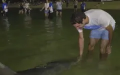 Roger Federer vui đùa cùng cá heo tại Australia