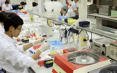 Việt Nam có hơn 10 triệu người mang gen bệnh tan máu bẩm sinh