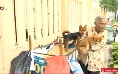 Cụ bà 70 tuổi lượm ve chai sống lang thang ở TP. Hồ Chí Minh