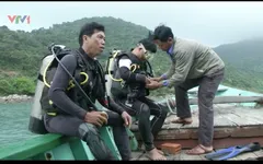 Nghề lặn biển: Đánh cược tính mạng trong cuộc mưu sinh