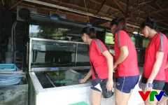 VTV Cup 2015: Nữ tuyển thủ Việt Nam tinh nghịch vớt cá chạch
