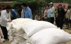 Xuất cấp lương thực cho 9 tỉnh