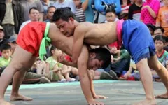 Sới vật làng Tam Trinh: Lưu giữ các giá trị tinh thần đặc sắc