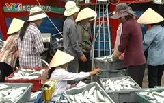 Gánh nặng mưu sinh của người dân vùng biển Nghệ An