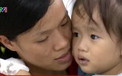 Hành trình tìm kiếm sự sống cho trái tim bé nhỏ