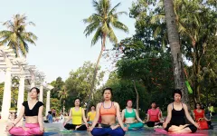 Yoga - môn thể thao có sức hút mạnh mẽ tại Việt Nam