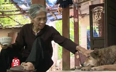 Cảm thương số phận cụ bà sống côi cút một mình