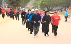 Hơn 7.000 người tham gia chạy Olympic kỷ niệm 70 năm thể thao Việt Nam