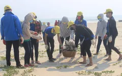 Quảng Bình: Hơn 1.000 đoàn viên tham gia làm sạch biển
