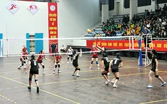 Trở lại hạng A, thu nhập của đội bóng chuyền nữ Quảng Ninh tăng 5 lần