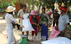 Đăk Lăk phân bổ 500 tấn gạo hỗ trợ đồng bào các dân tộc