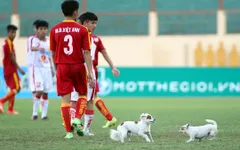 Chú chó làm loạn giải U19 QG - hình ảnh thể thao ấn tượng nhất tuần