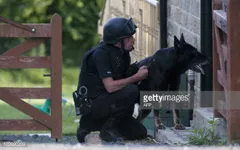 Cảnh khuyển - người bạn chiến đấu của lực lượng đặc nhiệm RAID tại Euro 2016