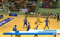 Hanoi Buffaloes và HCM City Wings khởi động mùa giải VBA 2016