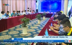 Họp BCH Liên đoàn bóng đá Việt Nam: Trưởng ban trọng tài Nguyễn Văn Mùi tiếp tục giữ vị trí