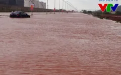 Quỹ Tấm lòng Việt kêu gọi chung tay hỗ trợ đồng bào lũ lụt miền Trung