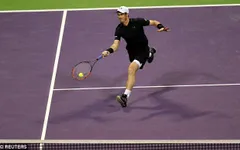 Bán kết Qatar Open: Thắng dễ Berdych, Murray gặp Djokovic ở chung kết