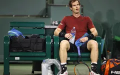 Sau Miami Open, Andy Murray tiếp tục lỡ hẹn với tứ kết Davis Cup 2017