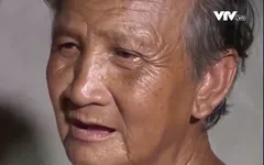 Cặp lá yêu thương: Lời ru của ngoại
