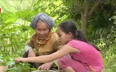 Cặp lá yêu thương: Bức tranh của Ngọc