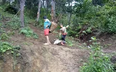 Bố mẹ và anh chị lần lượt qua đời, thương hai đứa trẻ phải nghỉ học lên núi đào sắn ăn
