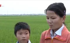 Khát khao được đến trường của cô bé nghèo ở Nam Định